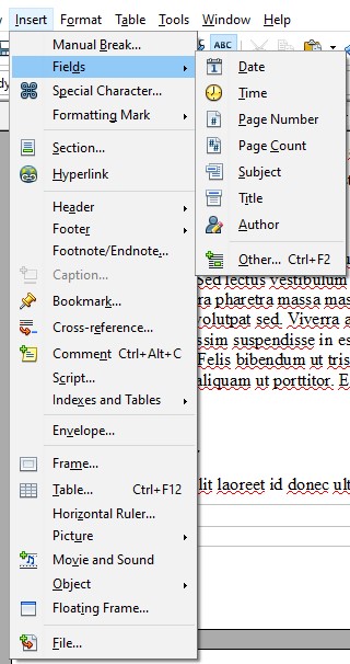 Opción de menú Insertar número de página de OpenOffice.