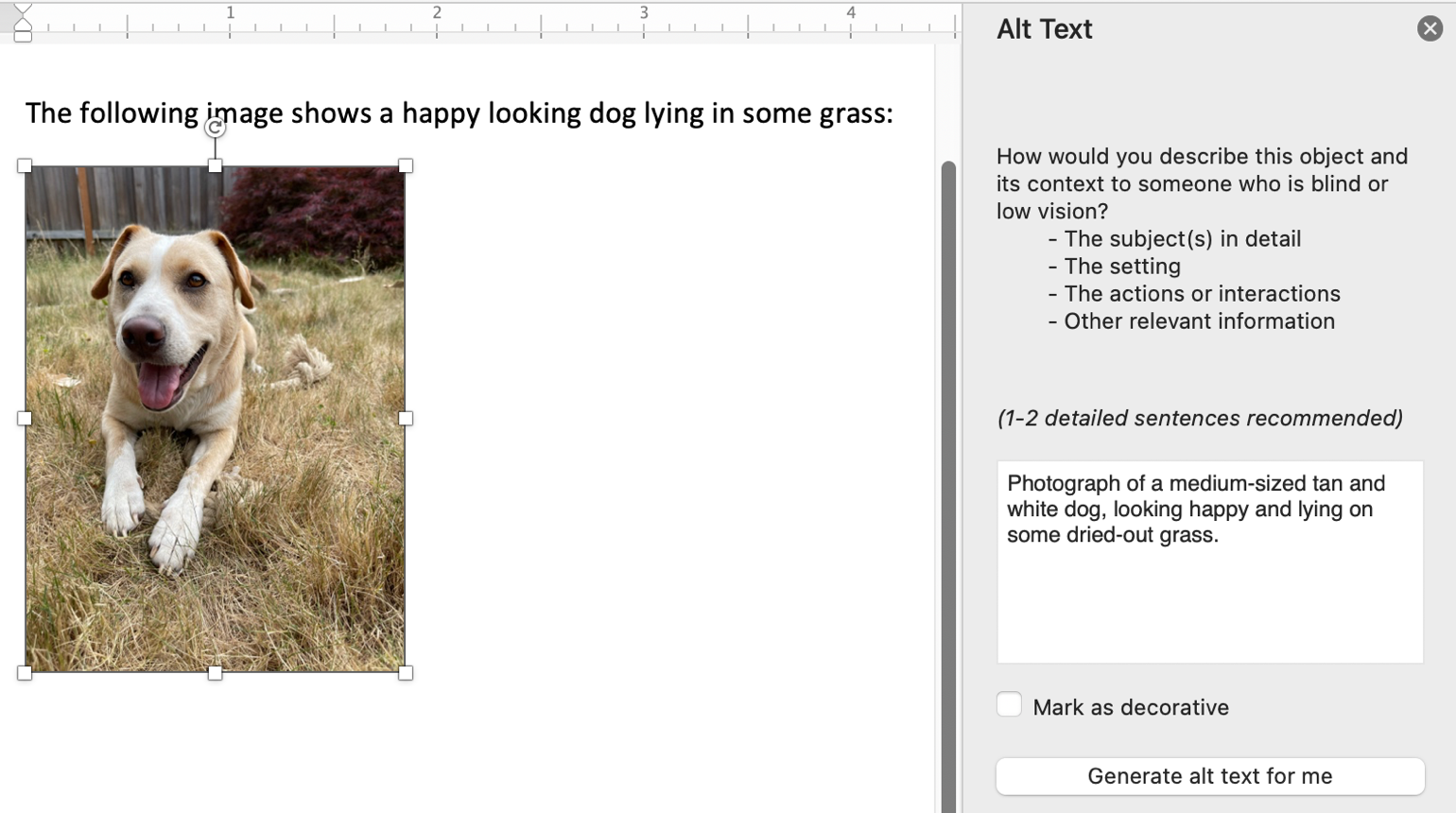 Interfaz de texto alternativo de Word usada para añadir texto alternativo a la fotografía de un perro.